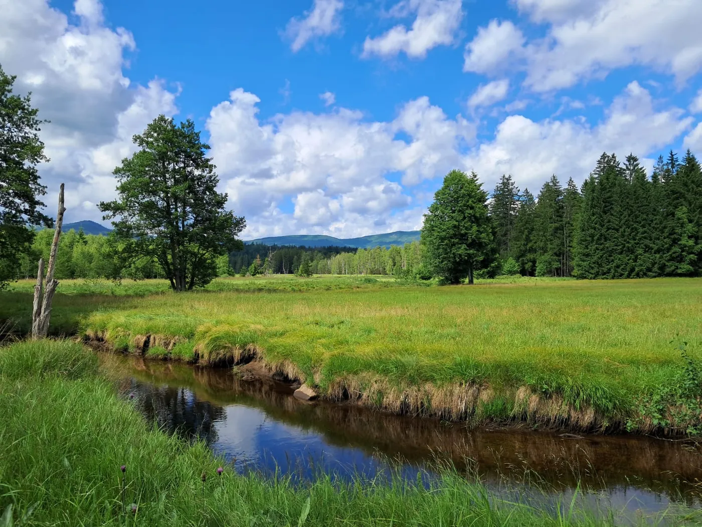 360° Raumansicht des FreyRaum